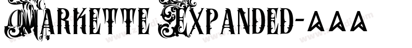 Markette Expanded字体转换 Markette Expanded字体转换